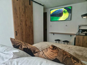 Casa de las Palmas 2
